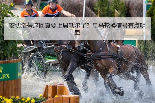 an-qie-luo-di-zhe-hui-zhen-yao-shang-ju-lei-er-le-huang-ma-lun-huan-xin-hao-you-dian-ming-xian-2-855.jpg