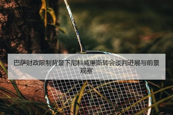 巴萨财政限制背景下尼科威廉斯转会谈判进展与前景观察（leyu）