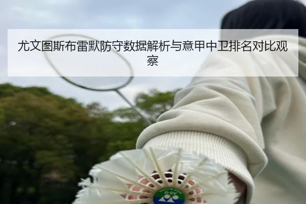 尤文图斯布雷默防守数据解析与意甲中卫排名对比观察（leyu）