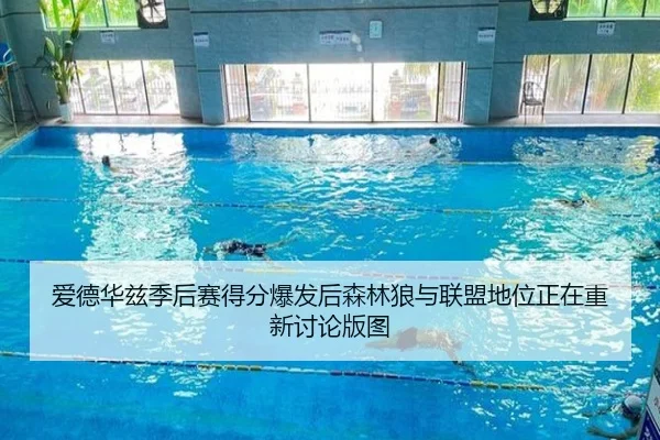 爱德华兹季后赛得分爆发后森林狼与联盟地位正在重新讨论版图 | leyu