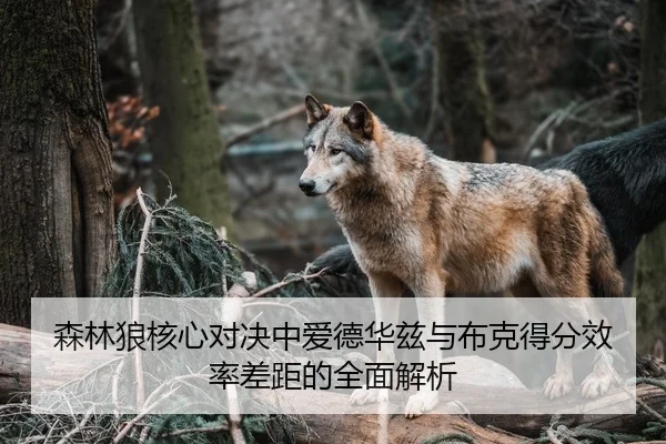 森林狼核心对决中爱德华兹与布克得分效率差距的全面解析（leyu）