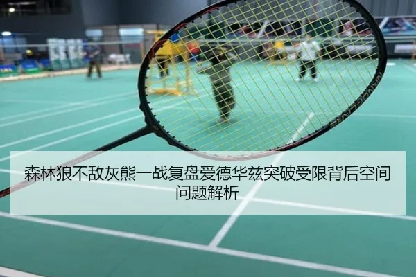 森林狼不敌灰熊一战复盘爱德华兹突破受限背后空间问题解析（leyu）
